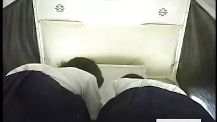 Trợ lý cá quay len lam tinh hoc sinh nhân